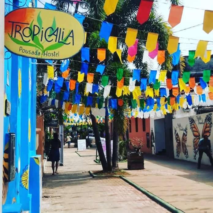 Tropicalia Hostel E Pousada Itacare Luaran gambar